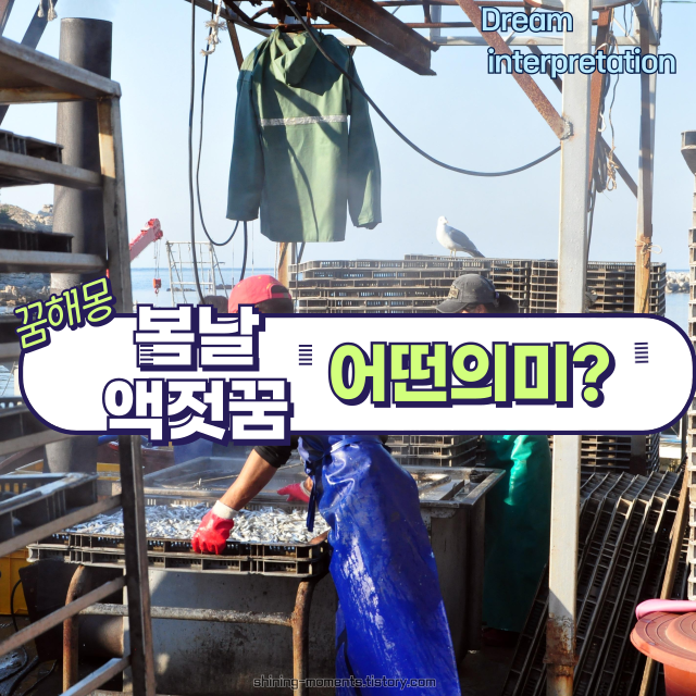 🌸봄날에 꾸는 액젓 꿈, 무슨 뜻일까? 액젓 꿈해몽 20가지 정리🐟