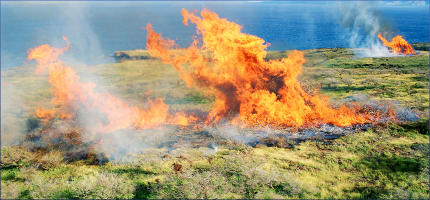 갑자일주 X 기사일주 궁합 완벽 정리