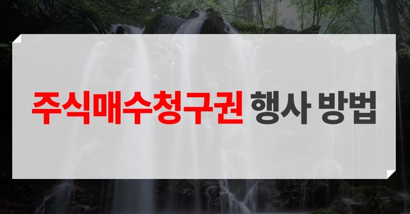 주식매수청구권 행사 방법