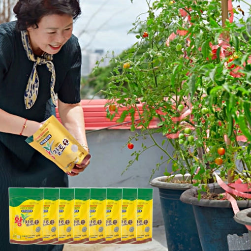 김일호 왕잘토 유기농 식물성 영양제의 효능