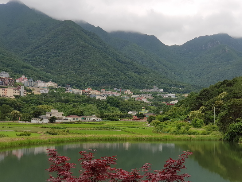 숲나들e