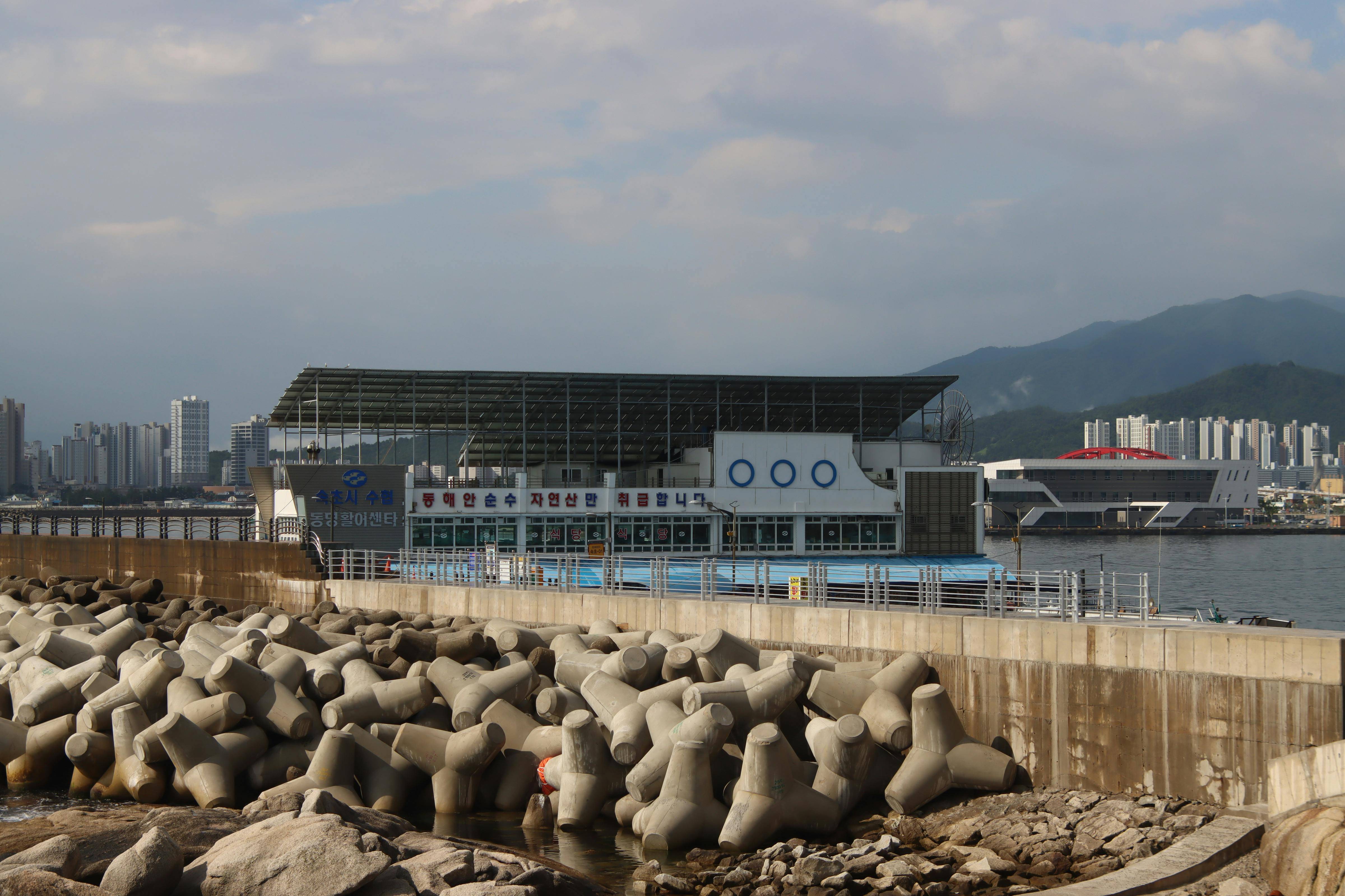 설악문화제 2025 일정·위치·SNS 총정리|속초 가을축제 가기 전 필독!