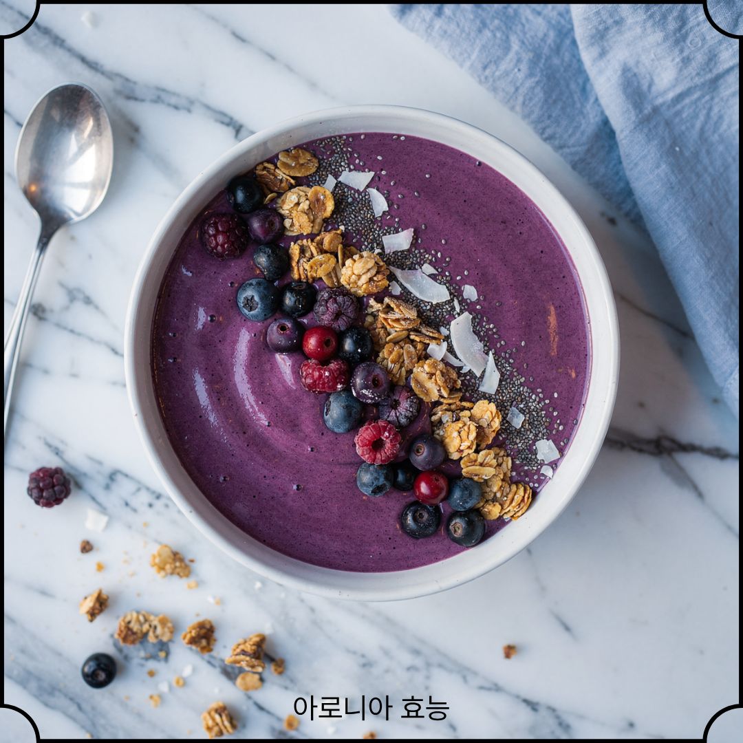 아로니아 효능