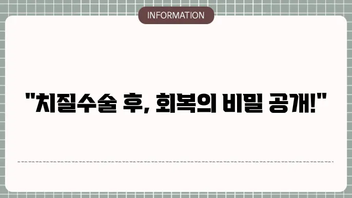 치질 회복을 위한 식단