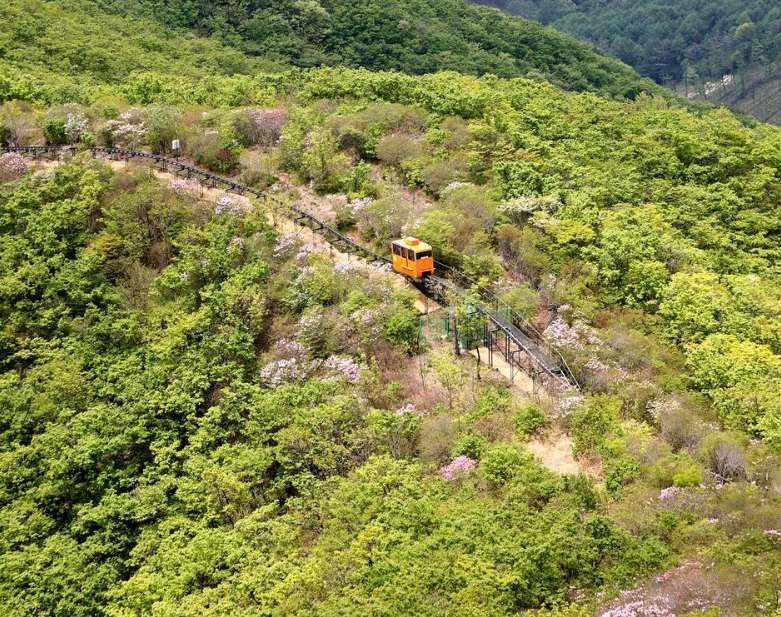 대봉산 모노레일 예약 성공