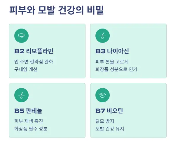 피부 모발 건강