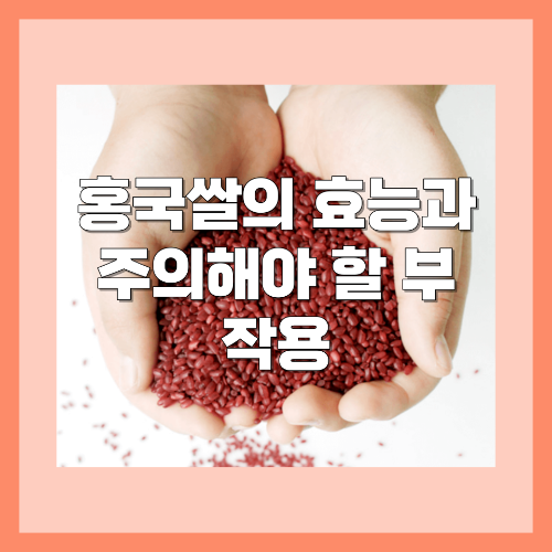 홍국쌀의 효능과 주의해야 할 부작용