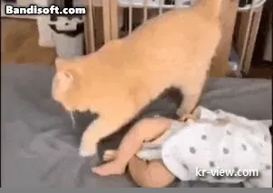 img.webp?credential=yqXZFxpELC7KVnFOS48ylbz2pIh7yKj8&expires=1767193199&allow_ip=&allow_referer=&signature=ILurrs8IsUNV52xHva8aSuTq354%3D