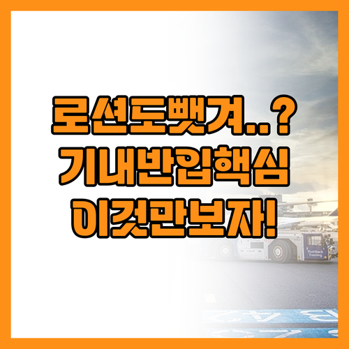 조금 남은 로션도 뺏기는 진짜 기내 ..