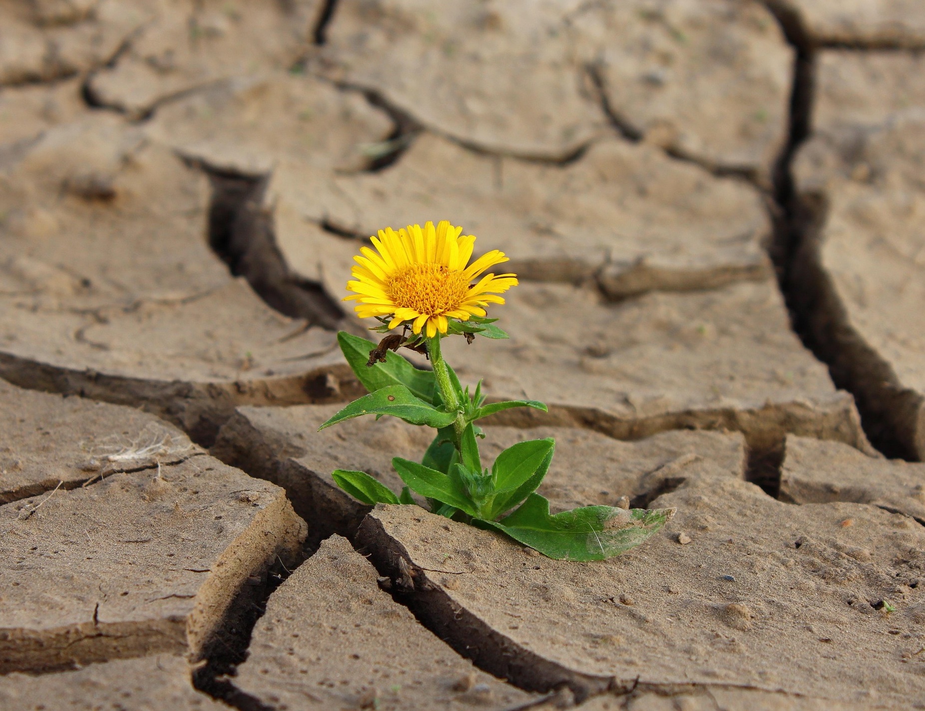 가뭄과 식량 위기는 왜 가장 먼저 ‘물가’를 무너뜨리는가!