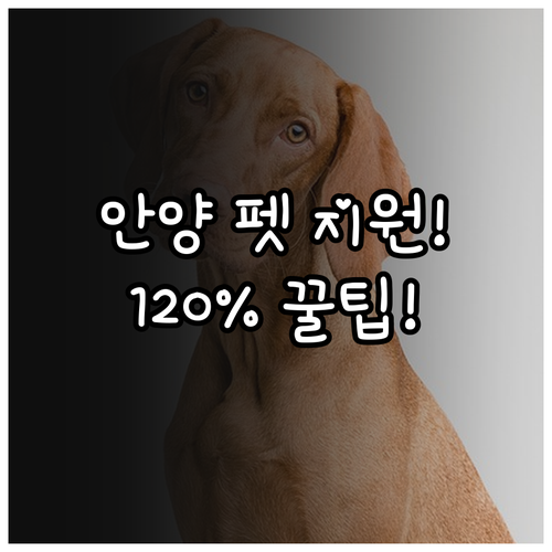 안양시 반려동물 지원 2025 자격 ..