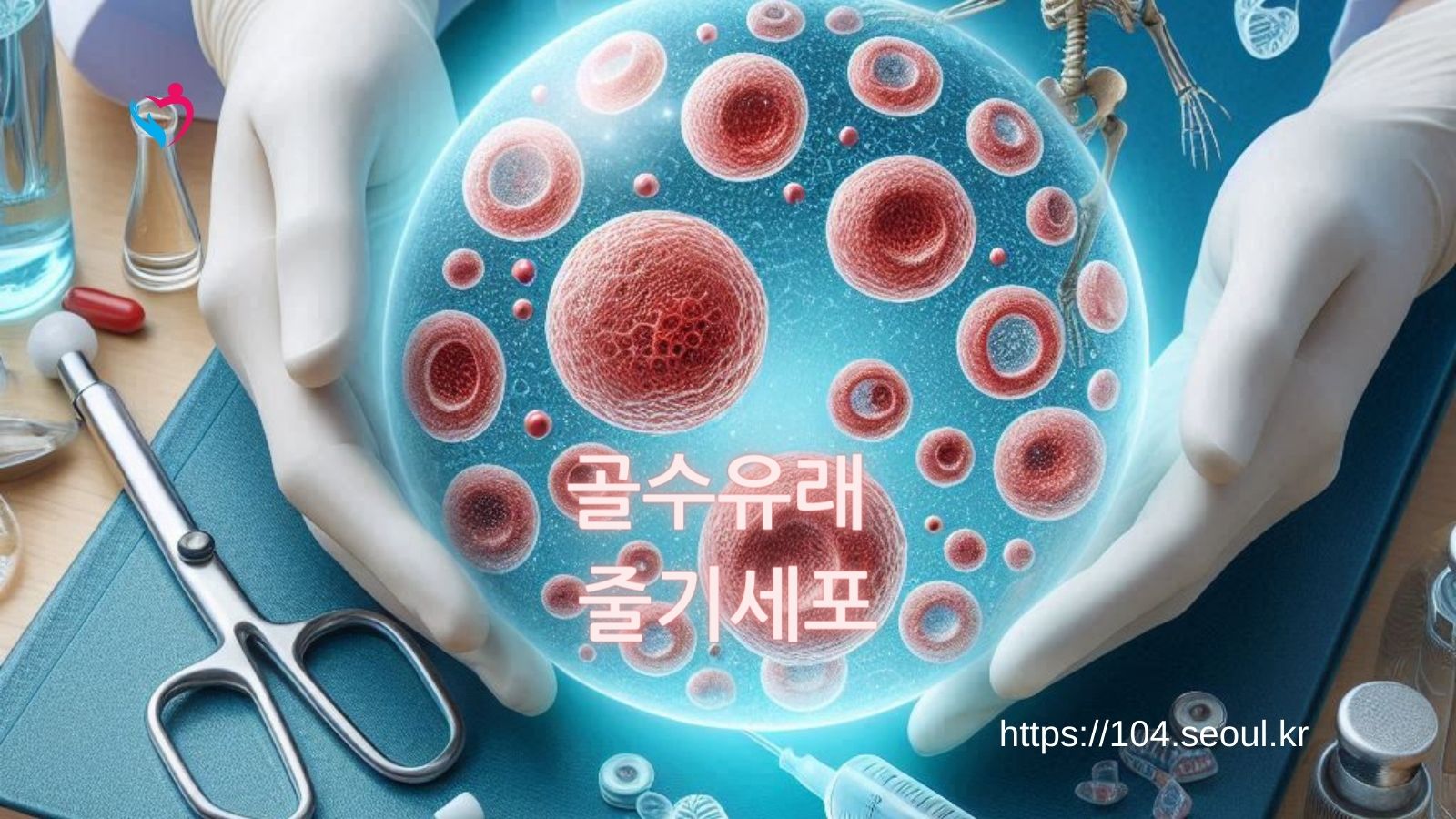 골수유래 줄기세포