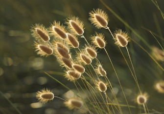 2025 싸이 흠뻑쇼 예매 꿀팁 완전정리