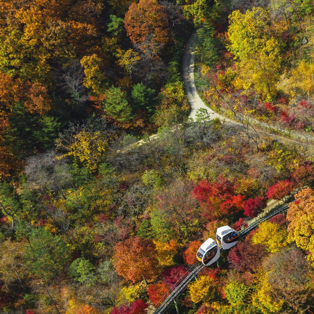 화담숲 모노레일