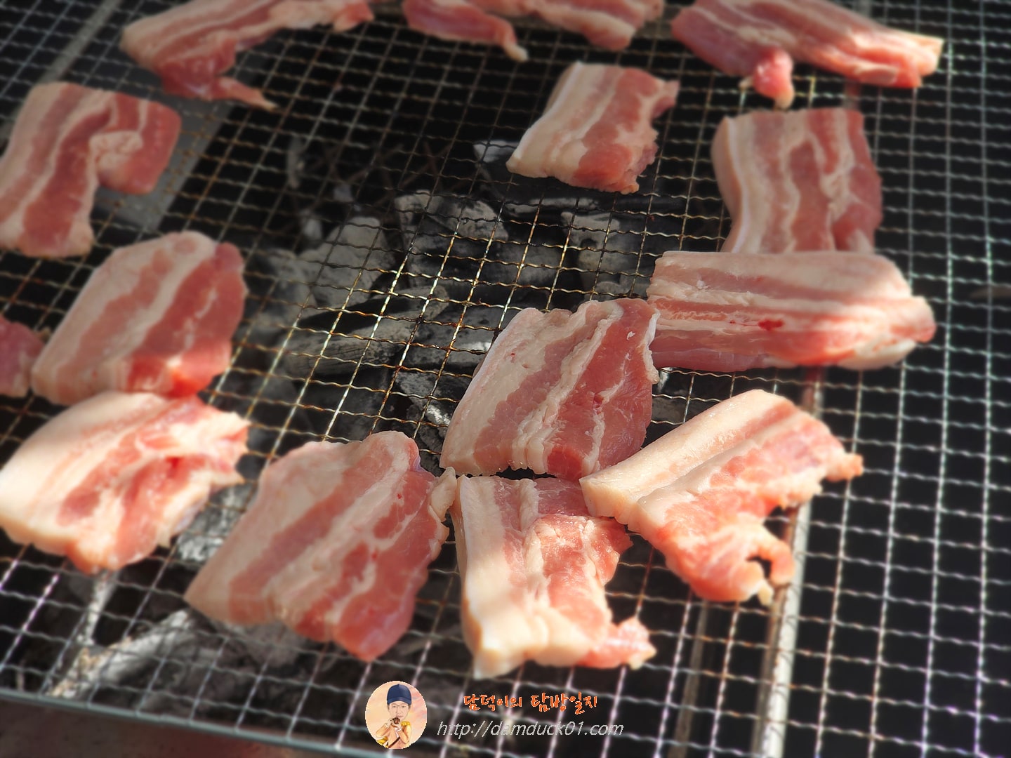 바베큐캠프닉868.3