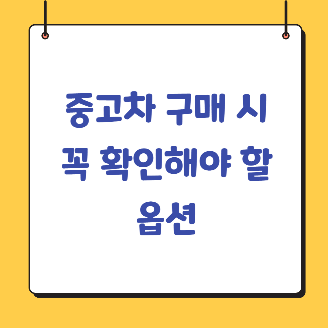 중고차-옵션-체크리스트