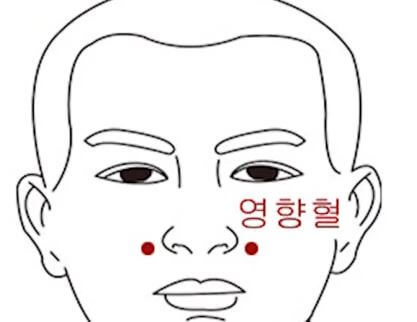 영향혈 자리