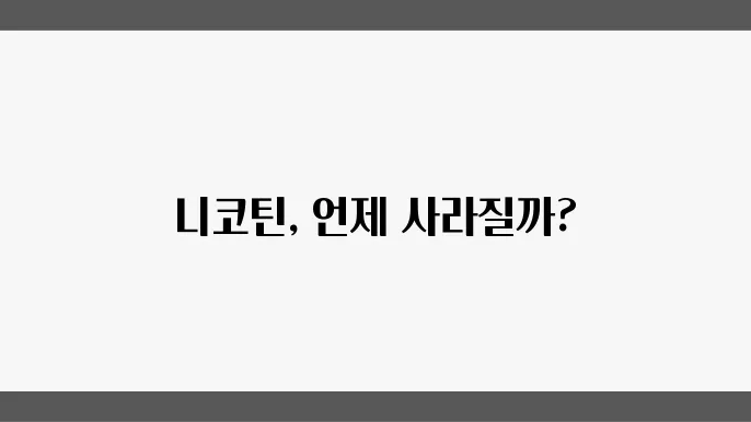 닅4닅4 검사 기살 버스패 닅4닅4