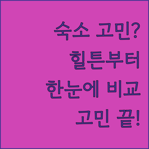 헤이그 숙소 고민 끝 힐튼부터 베스트..