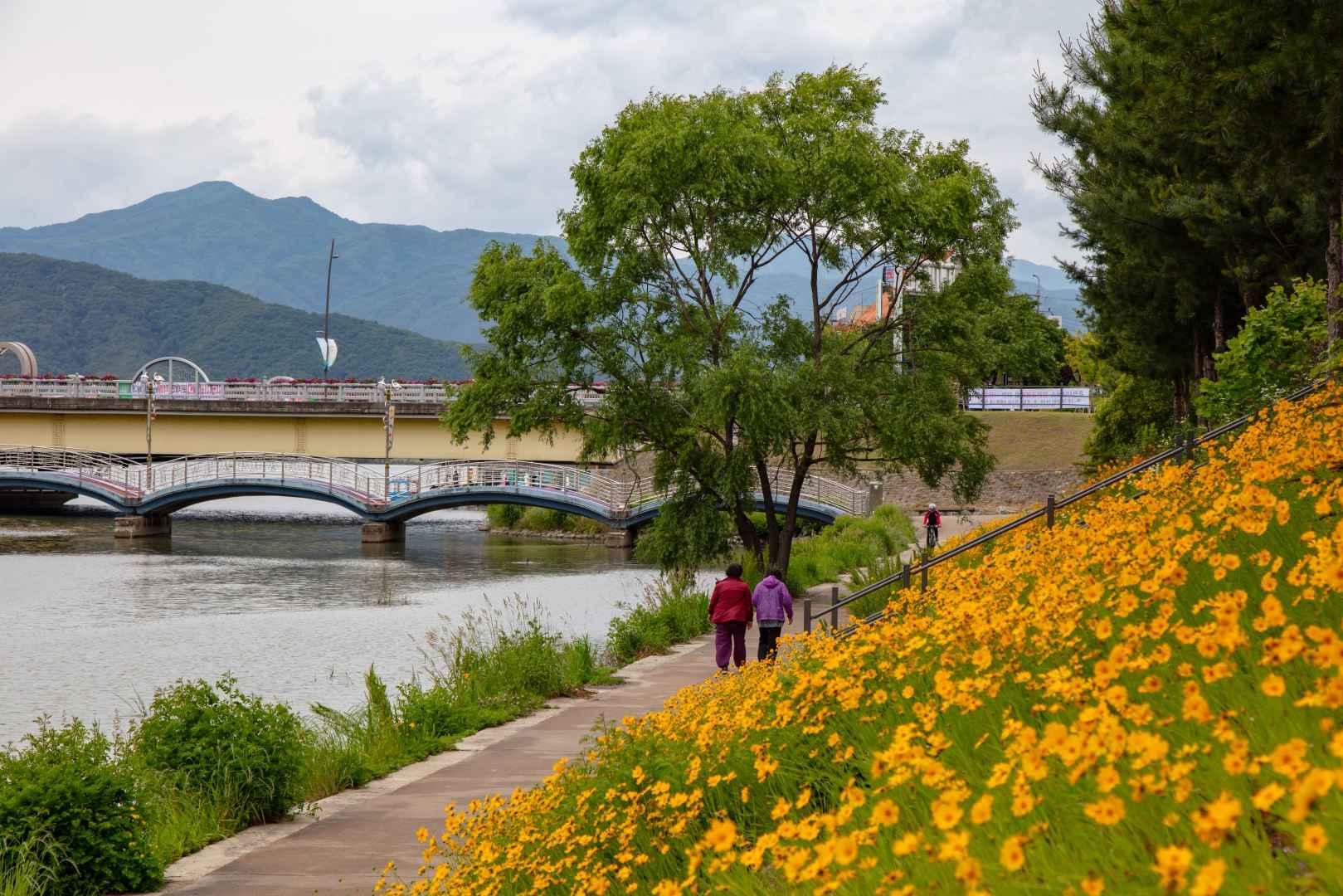 공지천