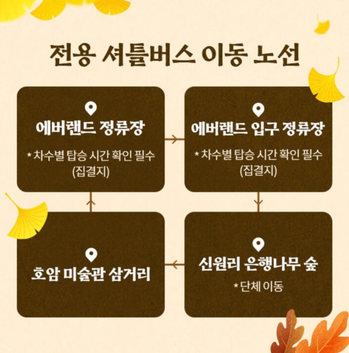 에버랜드 비밀의 은행나무숲 셔틀버스