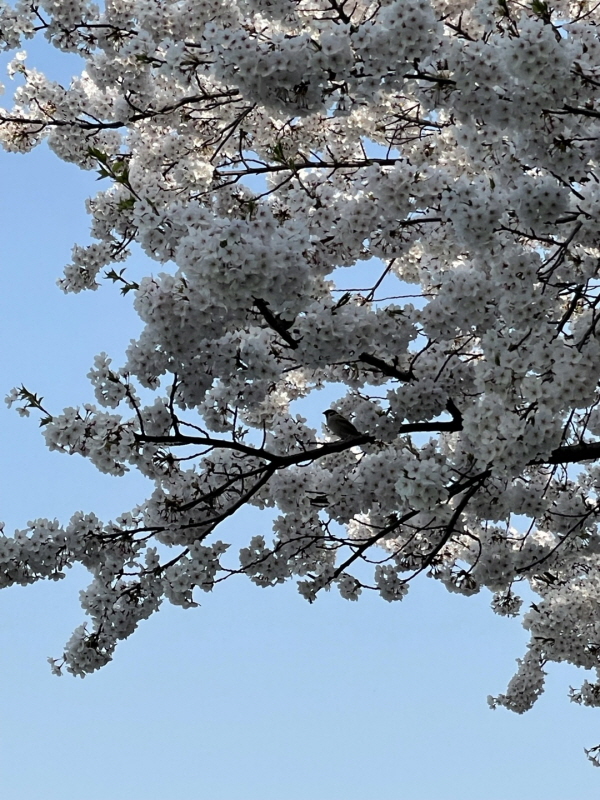 ๋ฒ๊ฝ๋ช
์