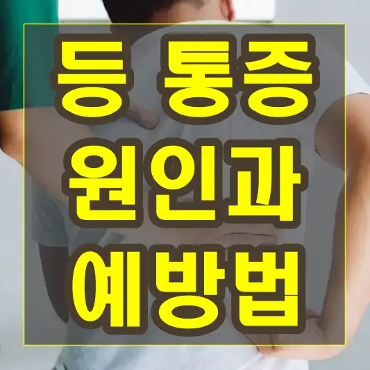 등 통증 원인과 예방법