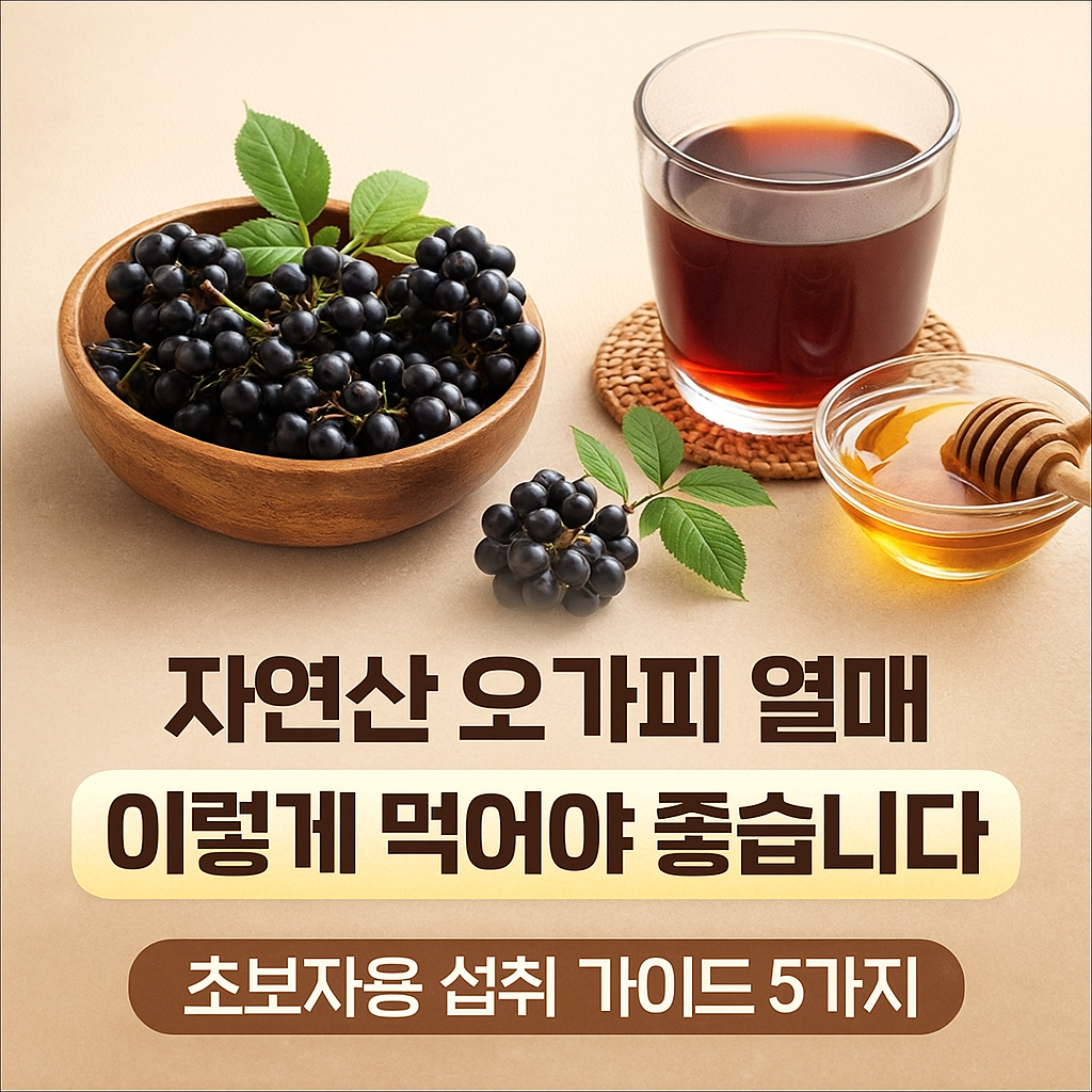 오가피 열매 먹는법