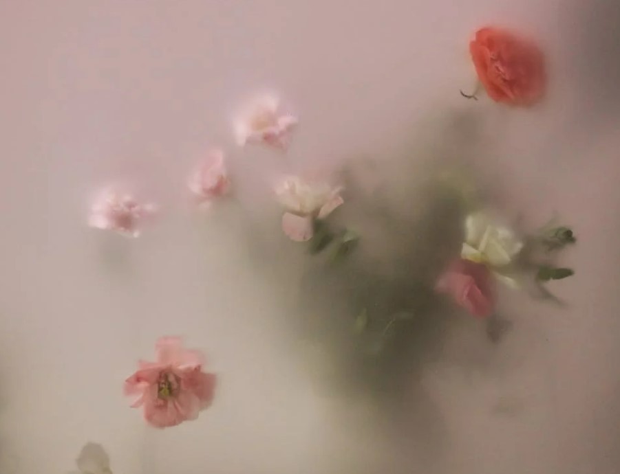 포토샵 설치 방법 완벽 가이드 - PC, 맥 설치부터 최적화까지 한 번에