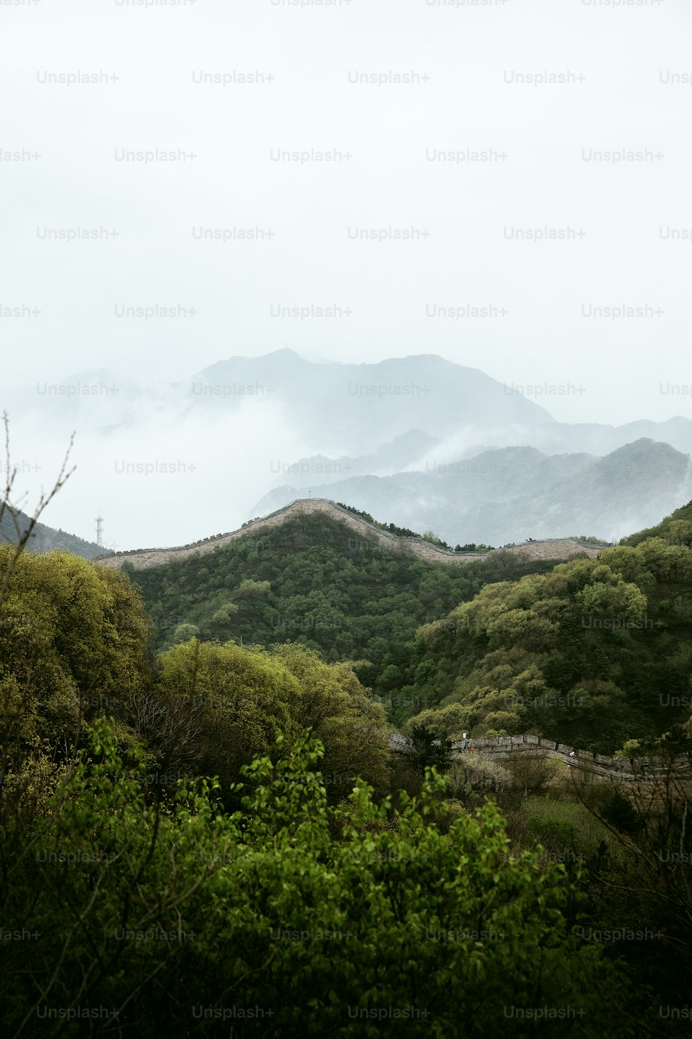 그린벨트 관련 이미지