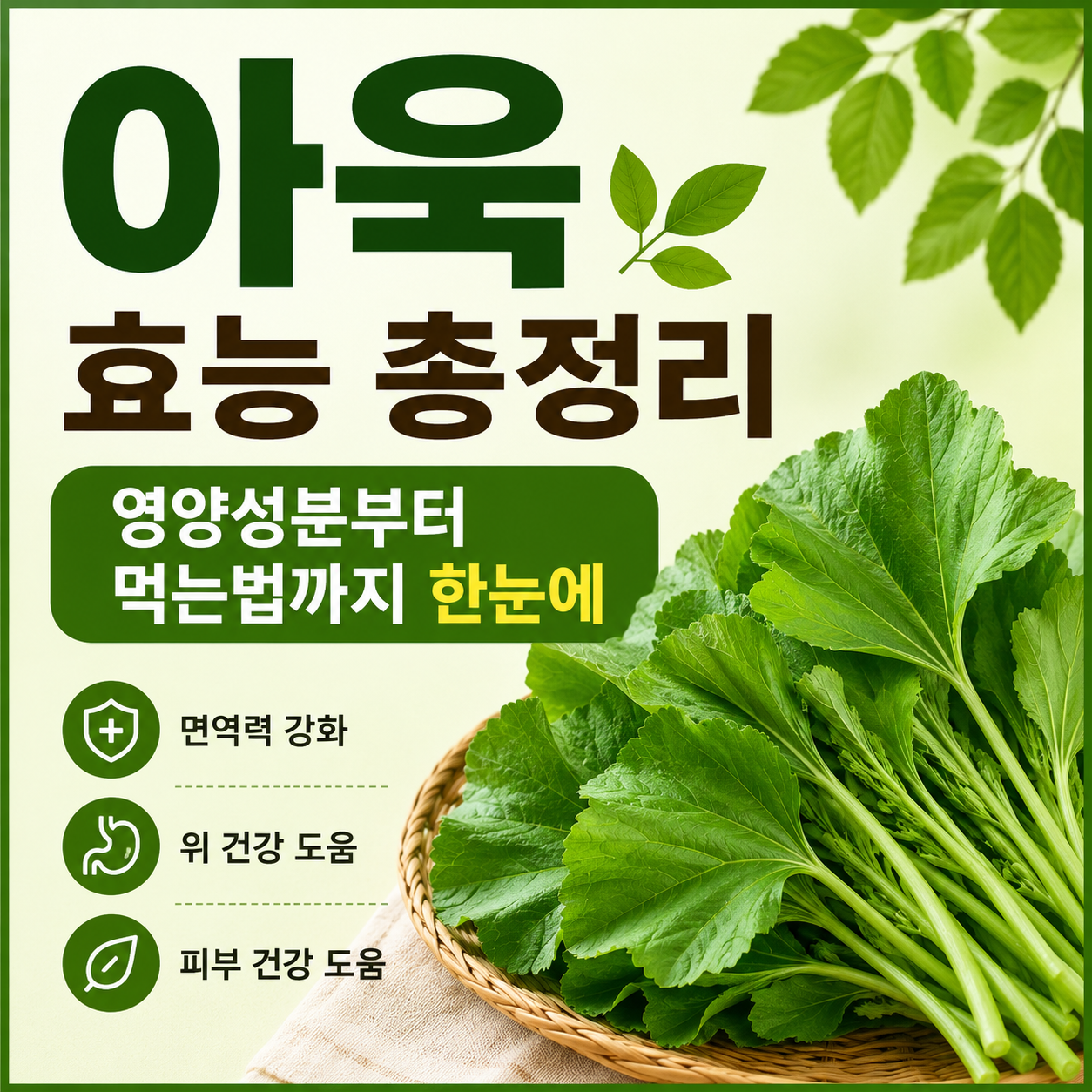 아욱 효능