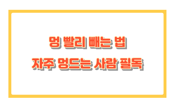 멍 드는 이유와 빨리 빼는 꿀팁, 자주 멍드는 사람 필독