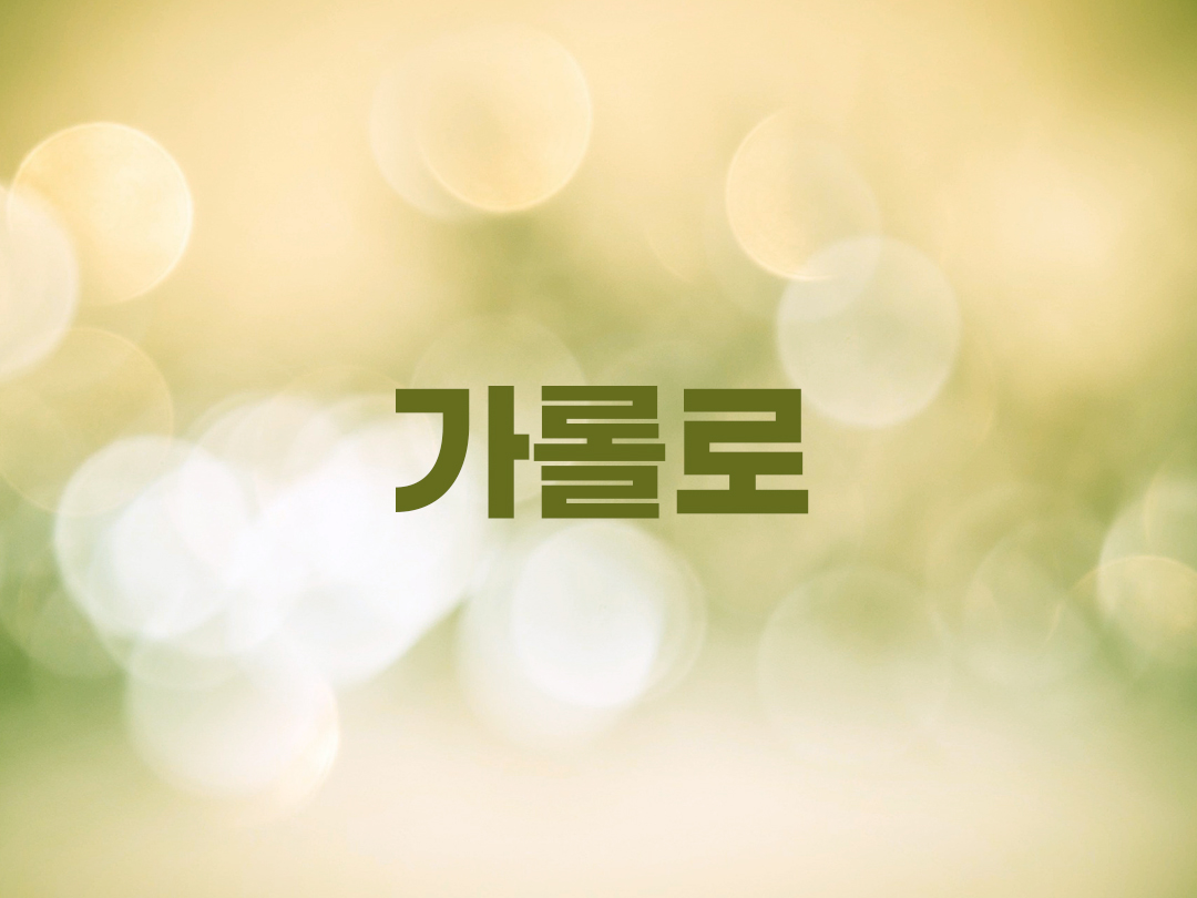 13가지 가롤로 천주교 남자세례명