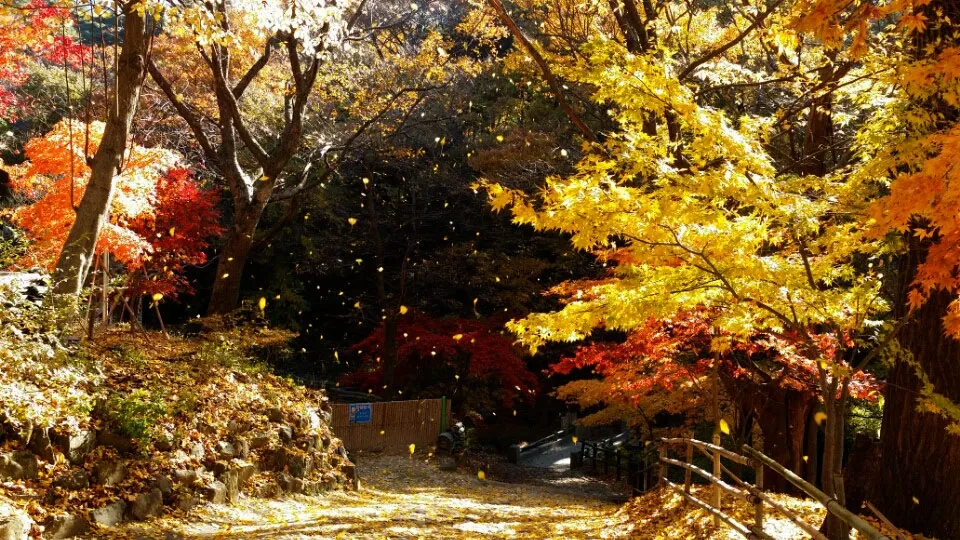 걷기 좋은 명품 숲길 50선 전국 서울 경기_5