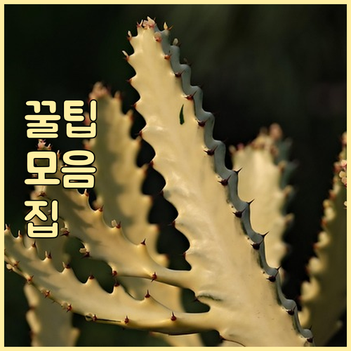 식중독 의심된다면? 증상 확인, 신고..