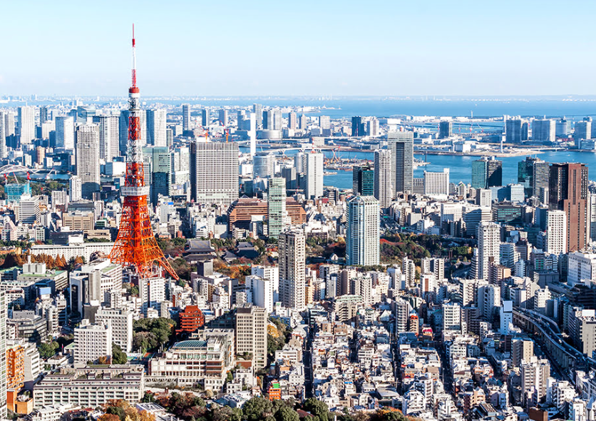 롯본기힐즈 일대 거리