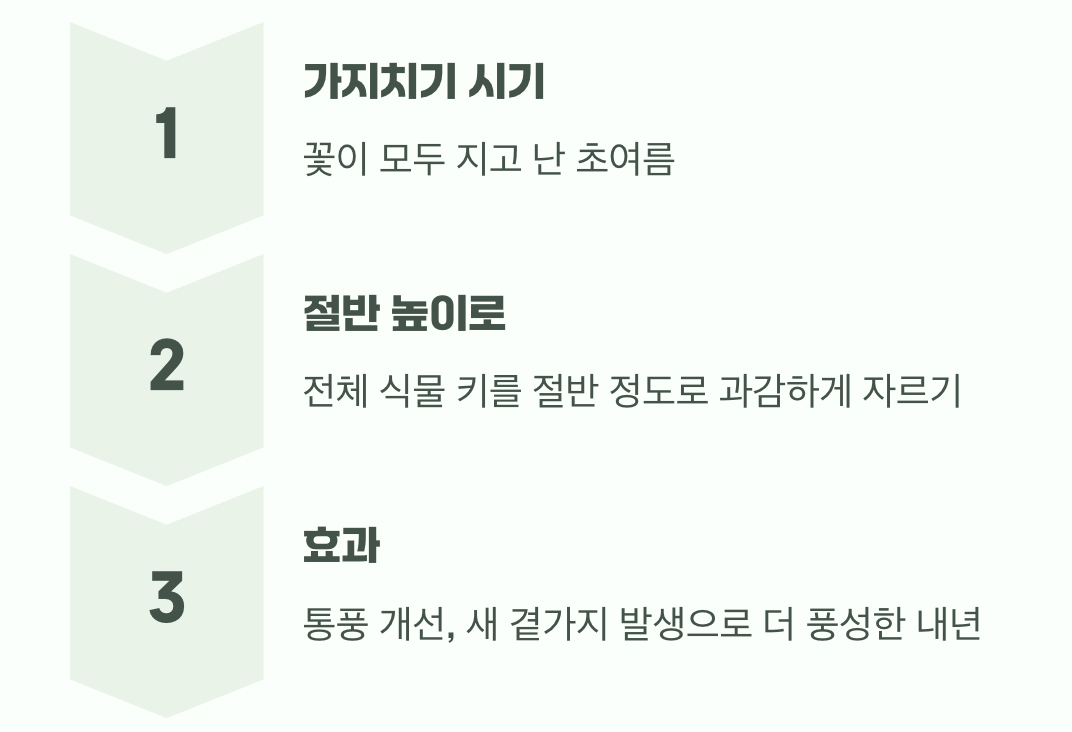 4. 꽃이 진 후, 더 풍성한 내년을 위한 약속