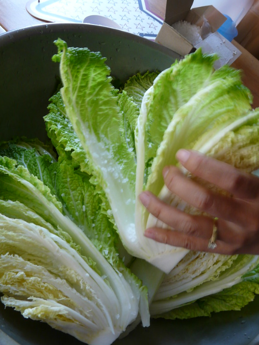 김치가 물러지는 이유