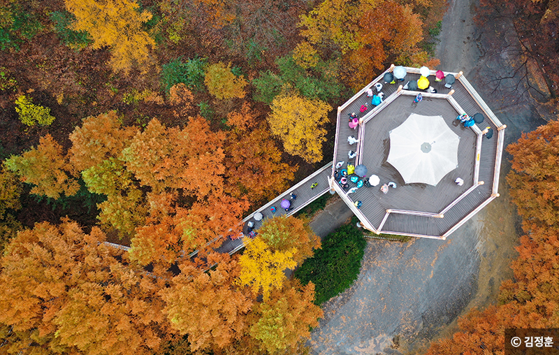 장태산휴양림 스카이타워 모습