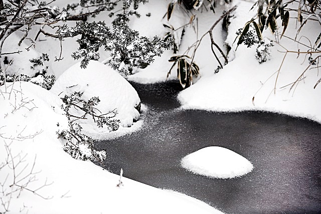 한라산 탐방 예약 방법