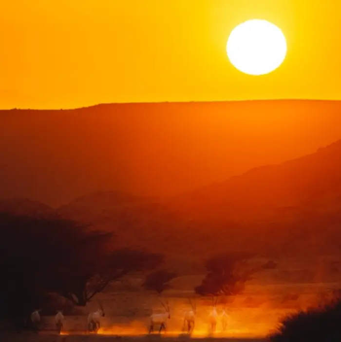 동지팥죽 먹는이유