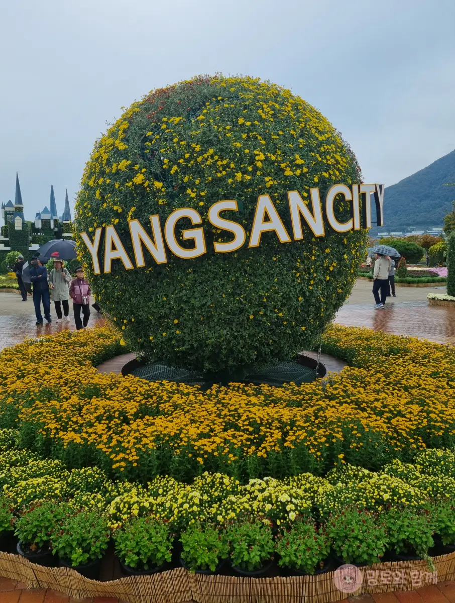 양산시티