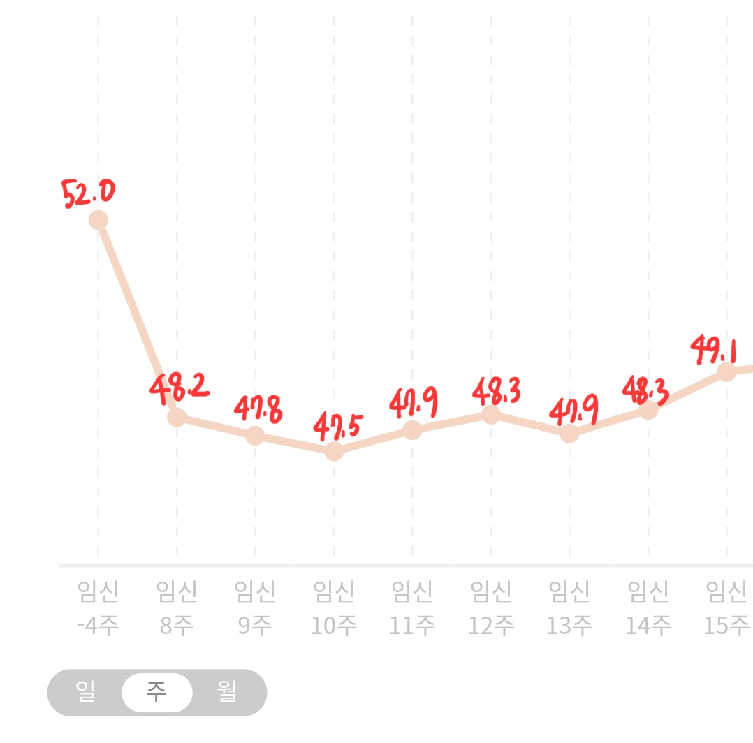 임신 12주 13주 14주 15주 몸무게