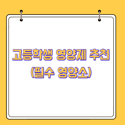 고등학생 영양제 추천(필수 영양소)