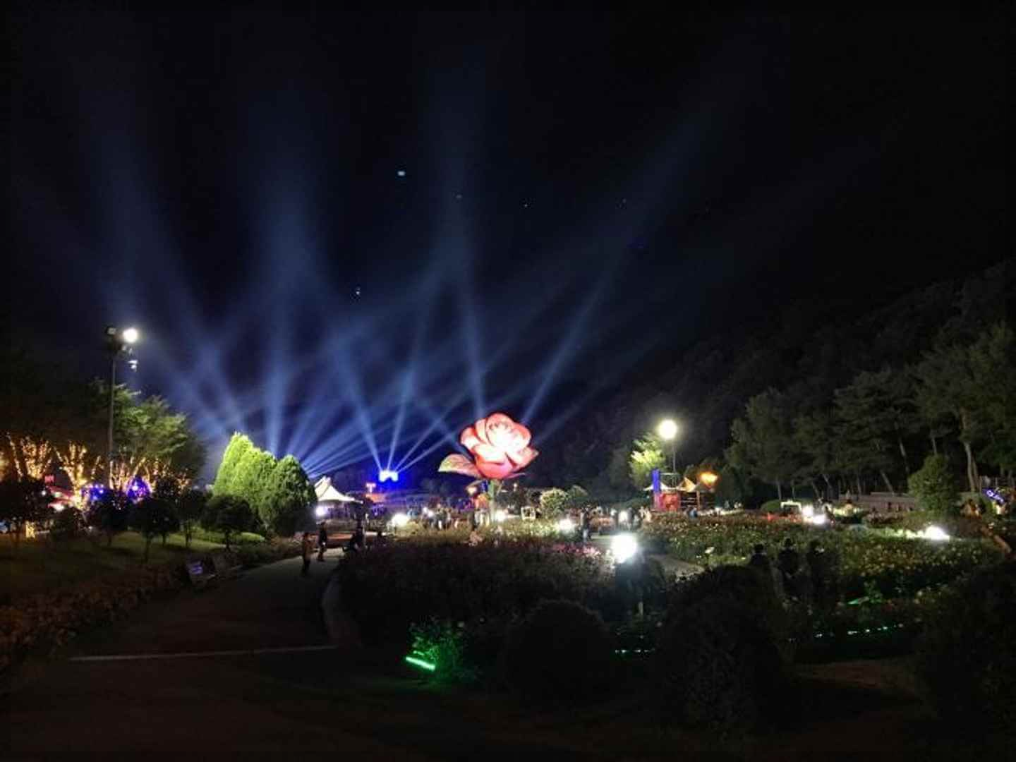 울산대공원 장미축제 가는길 일정 입장료 [총정리]