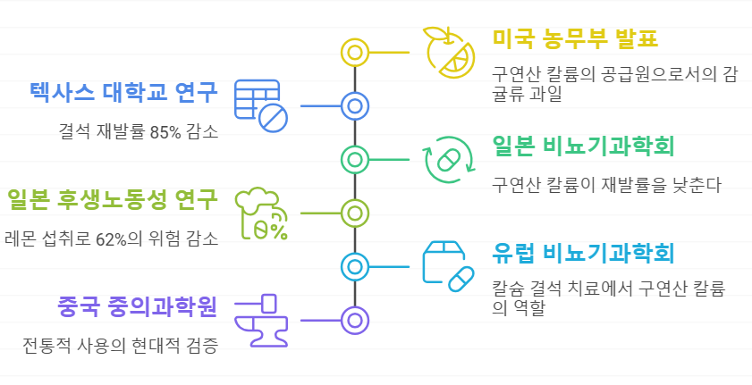 구연산 칼륨과 마그네슘의 연구
