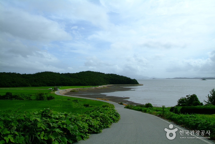 강진 가볼만한곳 베스트10