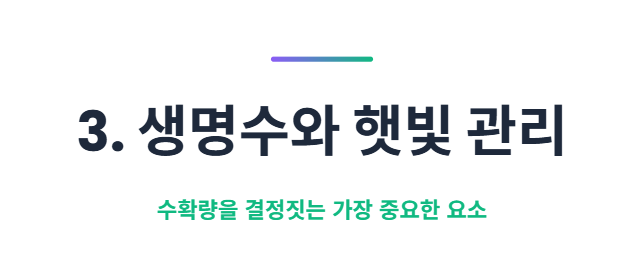 블루베리 키우기