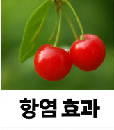 앵두 효능