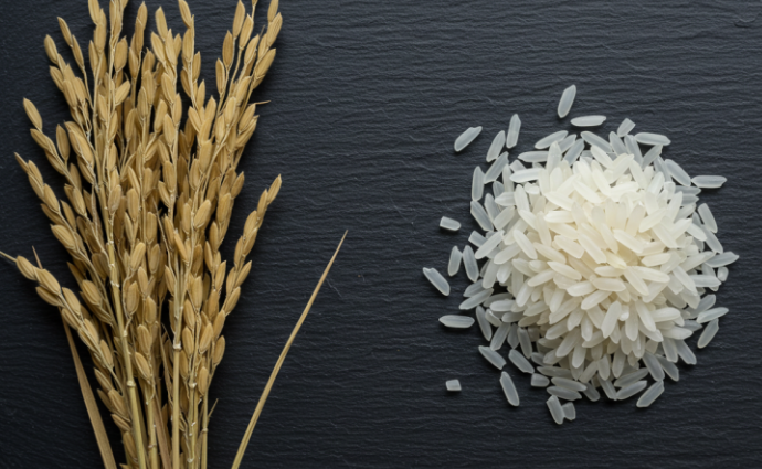 바나듐쌀-사진1